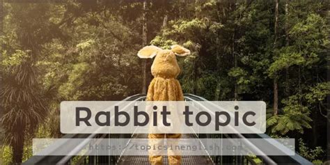 Rabbit Topic In English: Rabbits - Science Trek image 1