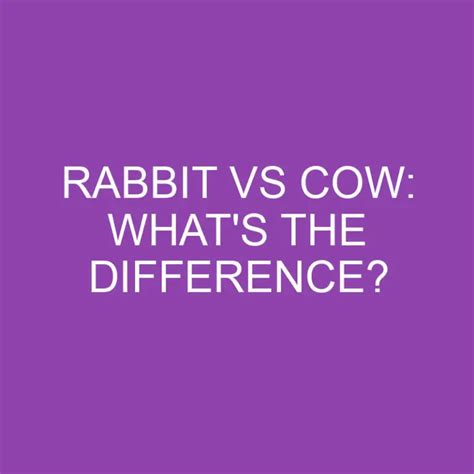 Rabbit Vs Cow: What