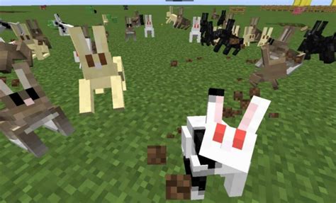 Rabbit vs killer bunny in Minecraft How different are the two mobs 
