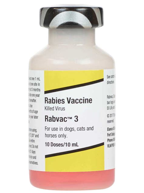 Rabies Shot For Dogs Price