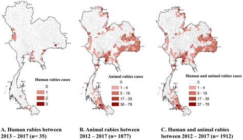 Rabies in Thailand - PubMed