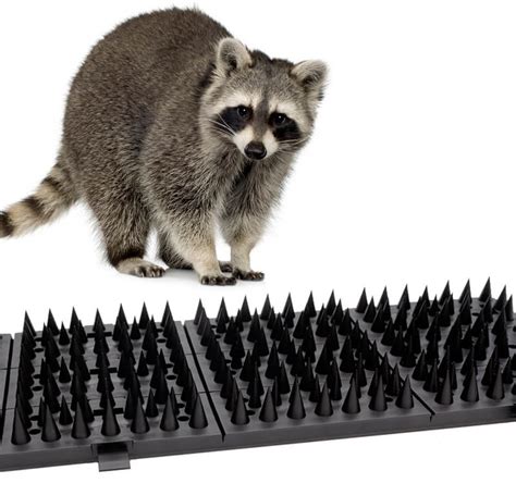 Raccoon Repellent - Critter Pricker