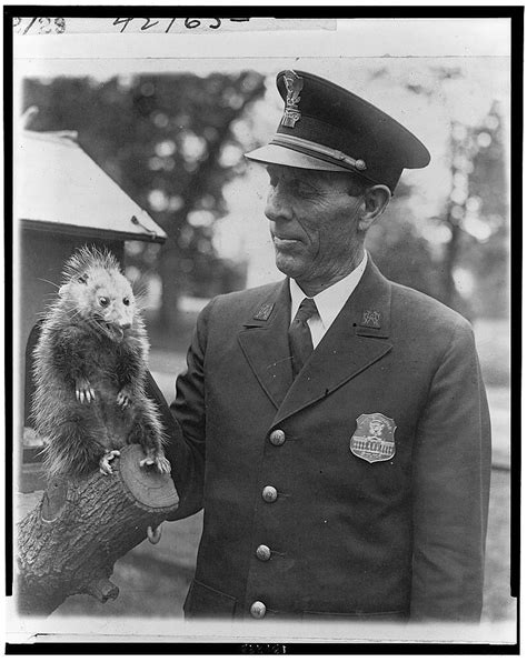 Raccoons at the White House - White House Historical Association