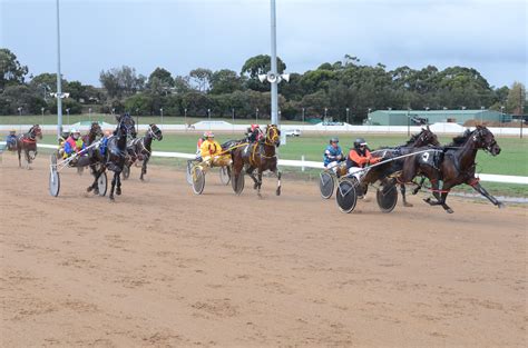 Race 1 MOUNT-GAMBIER Harness Racing Betting & Odds