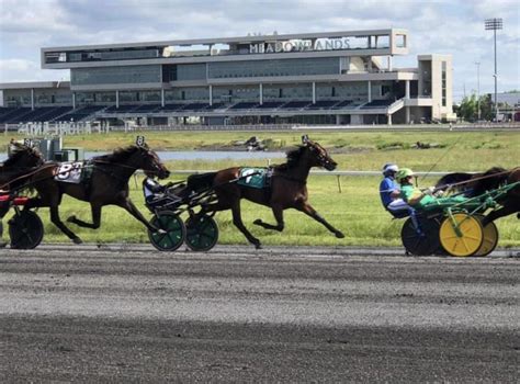 Race 11 – Meadowlands – 2024-04-08 – Harness Racing Update