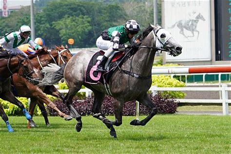 Race Card Horse Racing - Singapore - Kranji