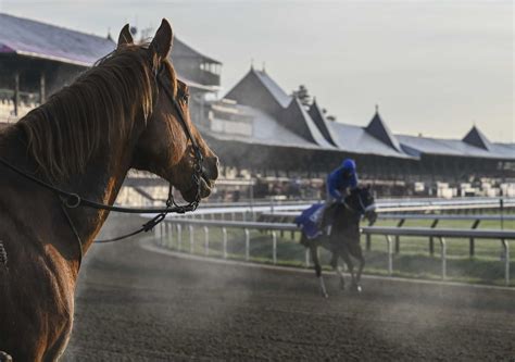 Racehorse slaughter banned in New York - Times Union