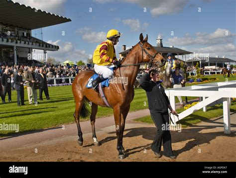 Racehorse trainer hi-res stock photography and images - Alamy