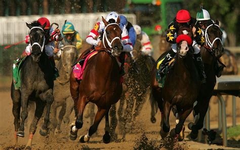 Racehorse wallpapers and images wallpapers pictures photos