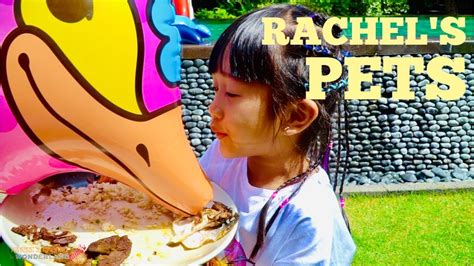 Rachel Pets - YouTube