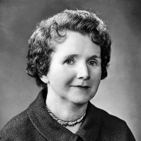 Rachel carson