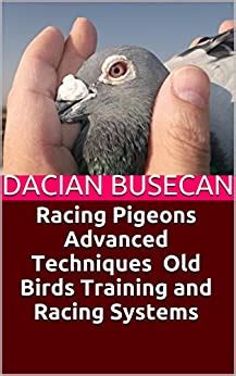 Racing Pigeons Advanced Techniques: Old Birds Training amd