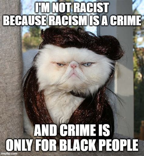 Racist cat names. Updated 4:51 PM EDT, Tue July 7, 2020. Link Copied! CNN —. The words and phrases permeate nearly every aspect of our society. “Master bedrooms” in our homes. “Blacklists” and ... 