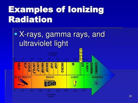 Radiation Protection Program Template in 2021 Program template