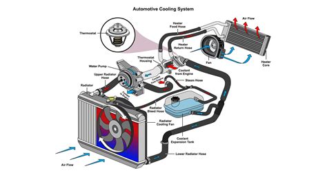 Radiator Lines Diagram
