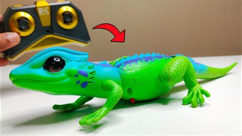 Radio controlled lizard. Things To Know About Radio controlled lizard. 
