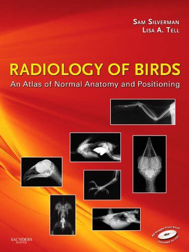 Download Radiology Of Birds  Ebook An Atlas Of Normal Anatomy And Positioning By Sam Silverman
