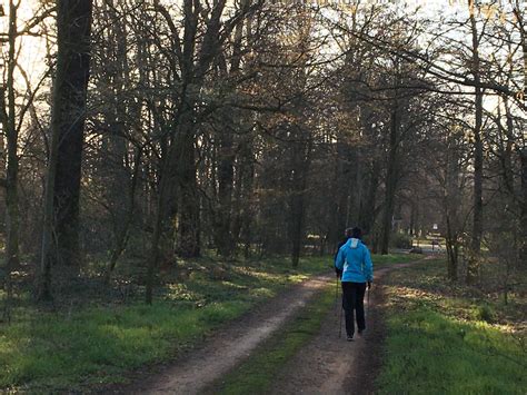 Radwege zum Cottbuser Ostsee: Bau in Englischer Allee