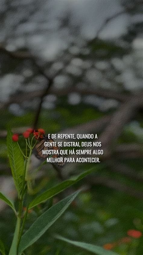 Rafaelafagundes Leaks XXX 💦 205 Videos