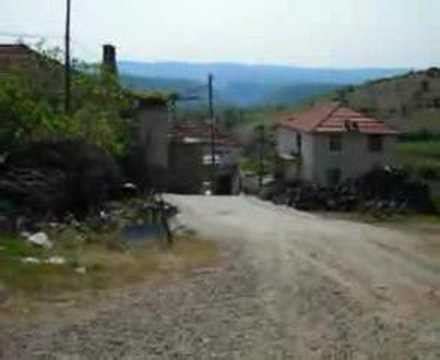 Ragillar Halı ve Koltuk Yıkama