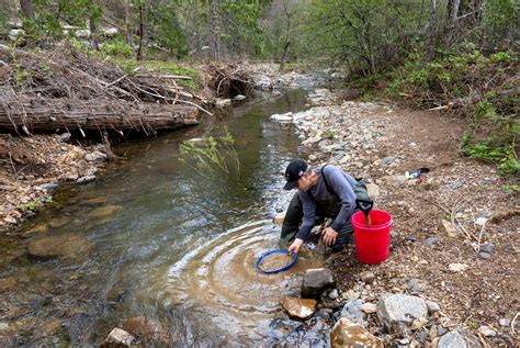Raging California rivers are replenishing historic Gold Rush spots