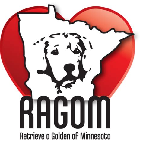 Welcome to RAGOM Maggie! Maggie is a young 1 year old beautiful female Golden Retriever. She was found in a northern Minnesota town by a Good Samaritan alone out in the country. The family that found Maggie could not keep her, so they asked RAGOM to help Maggie find a new furever home. A very big "thank you" goes to this family from Maggie ...