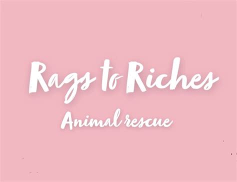 Rags to riches animal rescue. Rags to Riches Animal Rescue is Amerosa's rescue based out of Tampa, yet it isn't limited to just Tampa. Started officially in 2022, she said she has traveled all across the state to help animals ... 