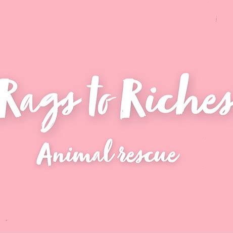 Rags to riches rescue. Rags to Riches Animal Rescue. 2,910 likes · 281 talking about this. Rags to Riches Animal Rescue is a foster based animal rescue on Long Island, NY. 