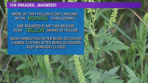 The types and levels of outdoor allergens will vary by state due to regional climate, local flora, and environmental conditions. ... In the fall, ragweed pollen is a major culprit for seasonal .... 
