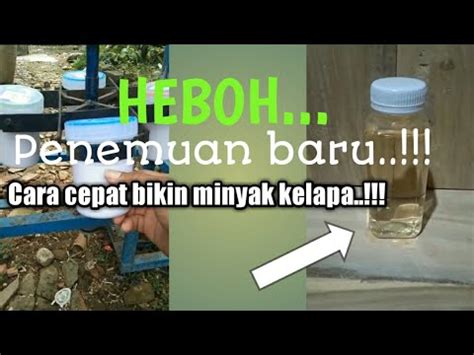 Cara membuat jebakan lalat mudah