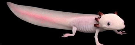 Raiiny  Leaks 🔥 PORN