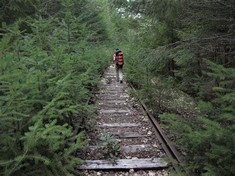 Railbanking The Great Redwood Trail Agency