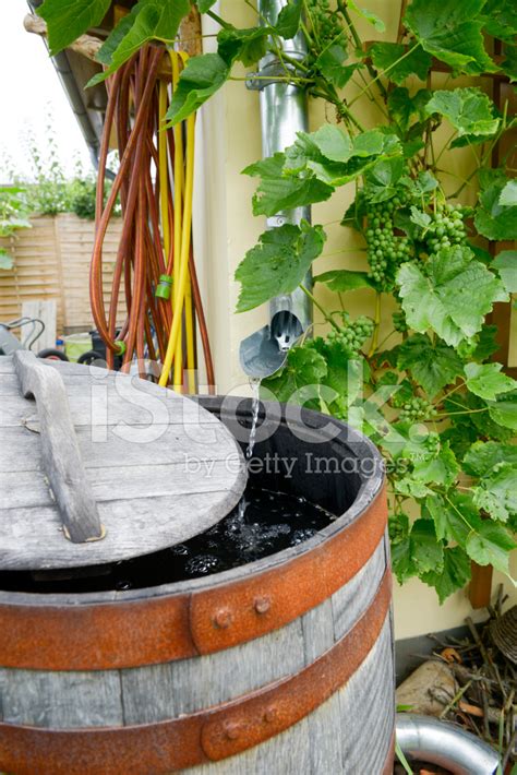 Rain Barrel Photos and Premium High Res Pictures - Getty Images