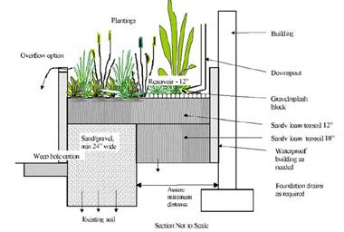 Rain Garden Design Guidelines Image to u
