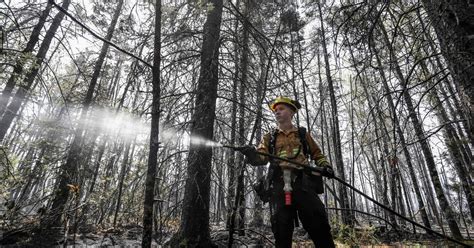 Rain brings much-needed relief to firefighters battling Halifax-area wildfires