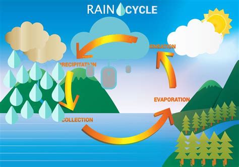 For instance, the rain falling from the sky may one day be the water we drink a few weeks later. This is possible because of the water cycle, which basically recycles water in a continuous cycle. The lesson provides a diagram that roughly shows the different steps of the cycle. It shows clouds with falling rain and snow over some mountains.. 