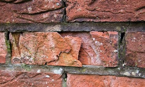 Rain water leaking through single brick wall into garage