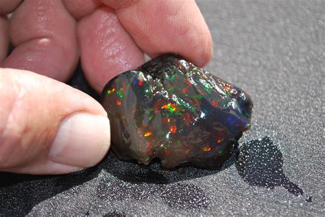 Rainbow Ridge Opal Mine Black Fire Opal Rockhound, …