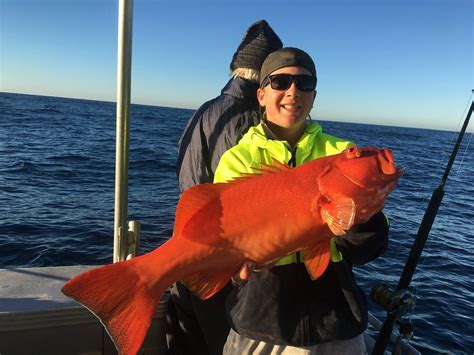 Rainbow Tours Fishing & Wildlife Tours in Homer Alaska