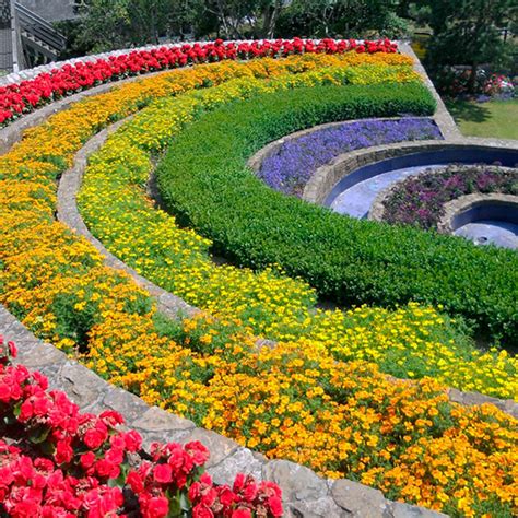 Rainbow gardens. Things To Know About Rainbow gardens. 