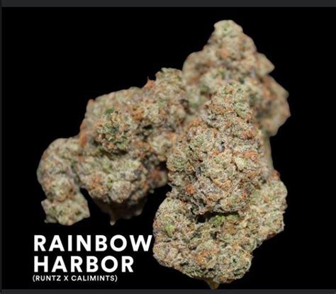 Strain- Rainbow Harbor * Hybrid *27.7 % THCDispensary- Surterra Flavors- fruity, skunk, earthy Parent strains- Runtz x Cali SunsetOverall rating- 9/10. 