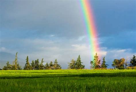 Rainbow near me now. Welcome to The Willow Tree family! You’re going to love our women’s clothing boutique! We stock adorable tops, bottoms, accessories, & more. Shop our styles. 