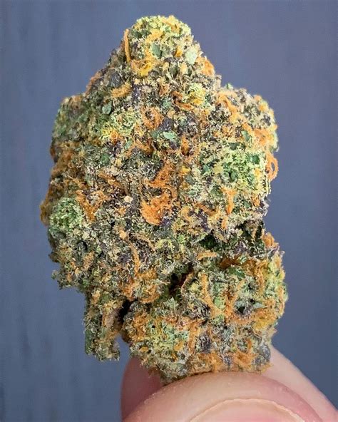 Rainbow sherbet 11 strain. Rainbow Sherbet strain helps with. Pain. 5% of people say it helps with Pain. Stress. 5% of people say it helps with Stress. Anxiety. 5% of people say it helps with Anxiety. This info is sourced ... 