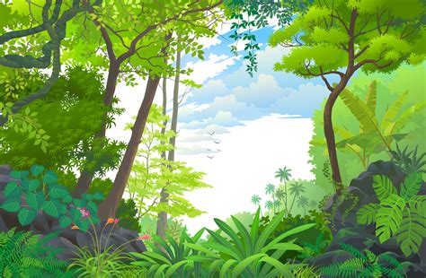 Rainforest Background Drawing