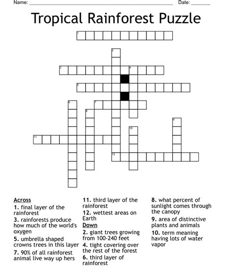 Rainforest swinger crossword clue. The crossword clue Rainforest flora with 5 letters was last seen on the January 01, 2003. We found 20 possible solutions for this clue. We found 20 possible solutions for this clue. Below are all possible answers to this clue ordered by its rank. 