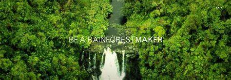 Rainforest video maker.  This article explores the top AI tools for rainforest video production...