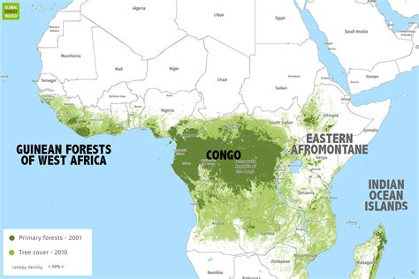 Rainforests Central Africa Map