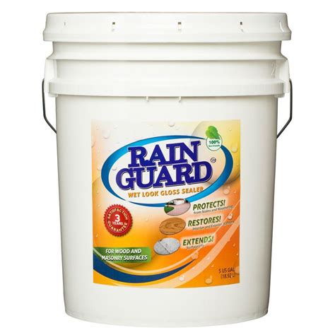 Rainguard Premium Paint Sealer, 1 gal, Clear