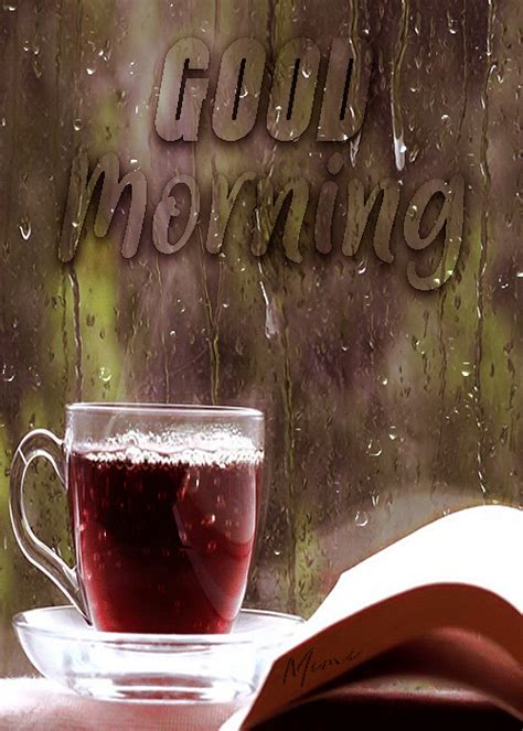 Download Rainy Good Morning Day GIF for free. 10000+ high-quality GIFs and other animated GIFs for Free on GifDB.. 