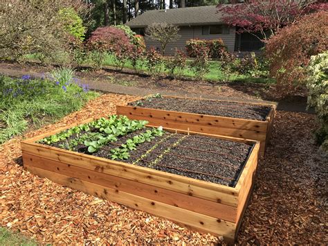 Raised bed vegetable gardens. Raised beds give you the perfect fresh start that can lead to a thriving garden in no time with the right soil recipe. Though you can end up spending a fair amount of money creating the perfect soil, this guide will provide budget options to help get you off to a great start in your quest for fresh vegetables, sustainable living, and just living an … 